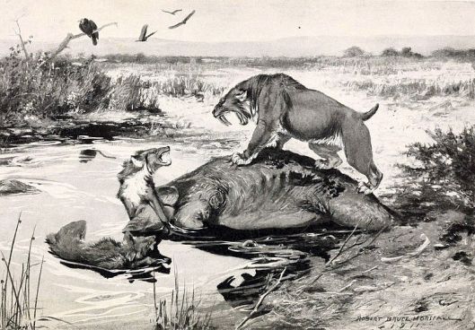 Dire wolves mired in the La Brea tar pits, while fighting Smilodon over a Columbian mammoth carcass by R. Bruce Horsfall.jpg